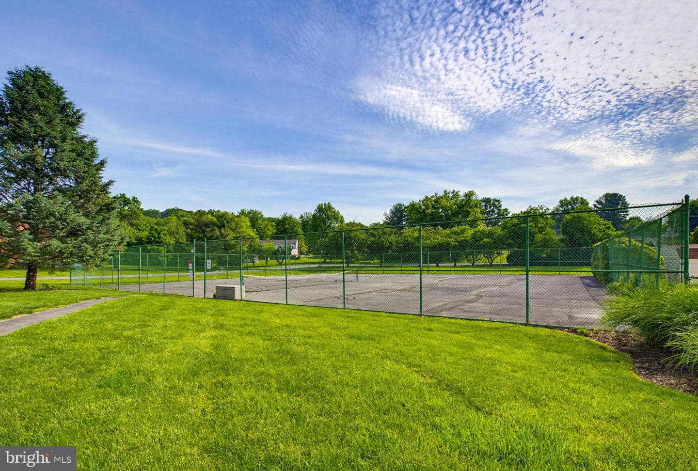 20 Beechtree Lane photo 40