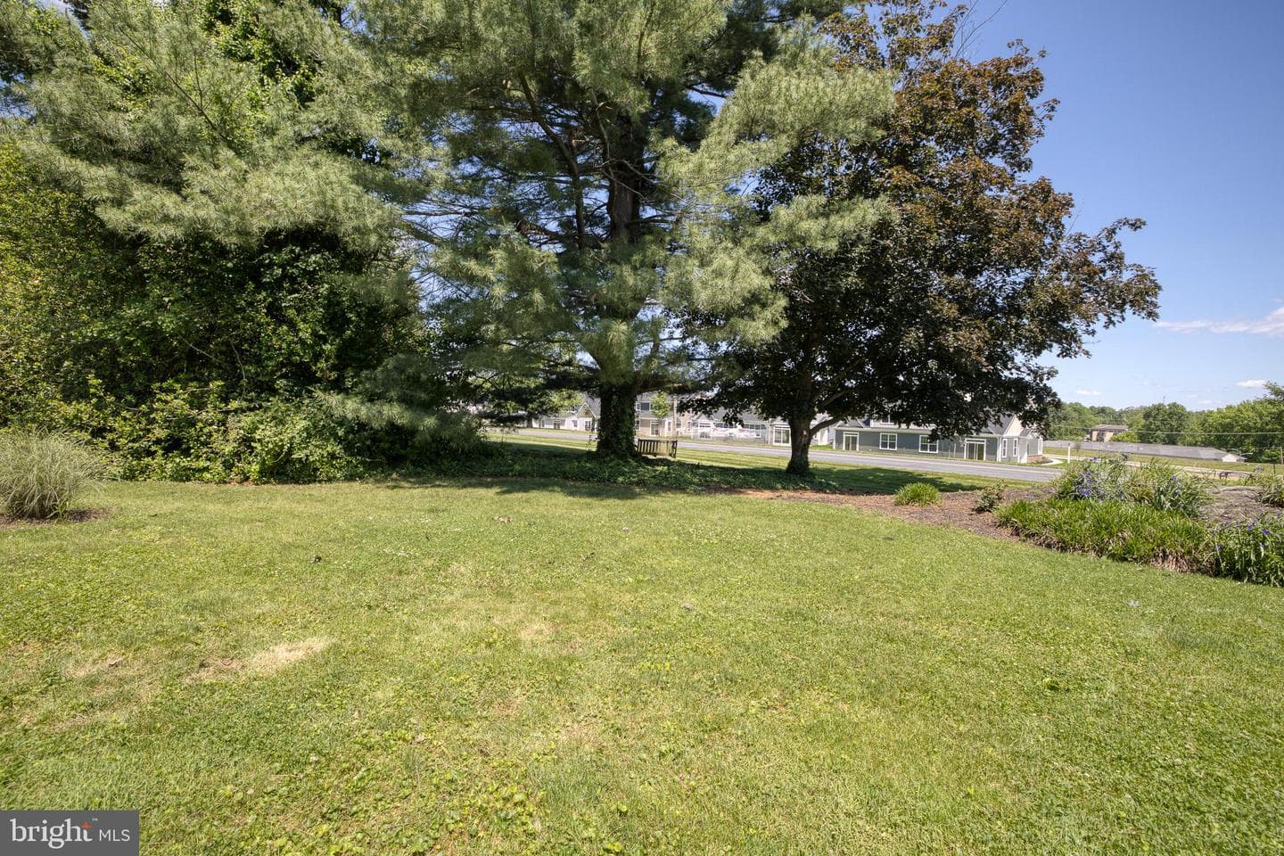 3 Laurelgate Place photo 20