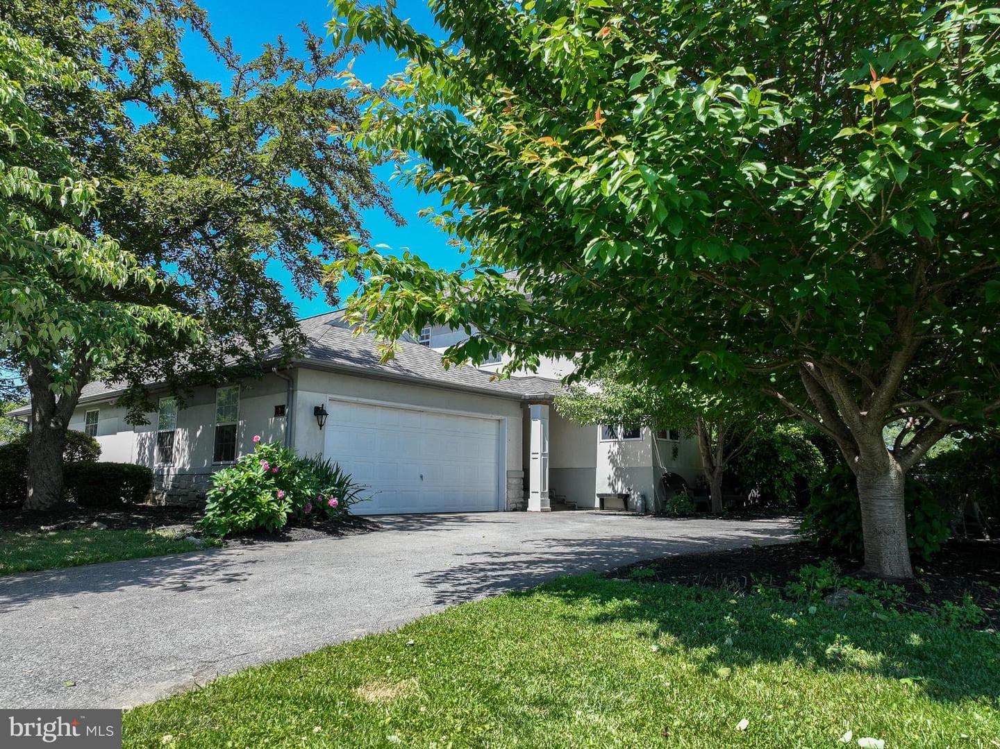 3 Laurelgate Place photo 25
