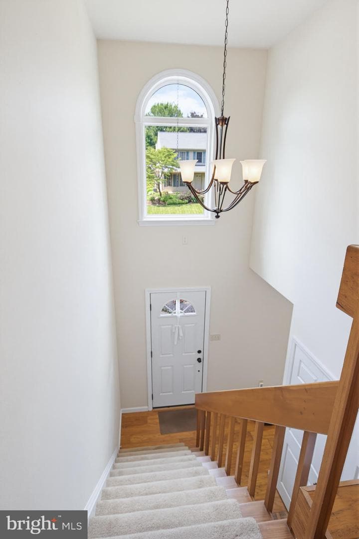 3885 Sterling Way photo 6