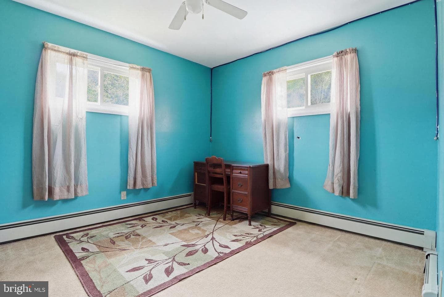 4 Conoy Road photo 17