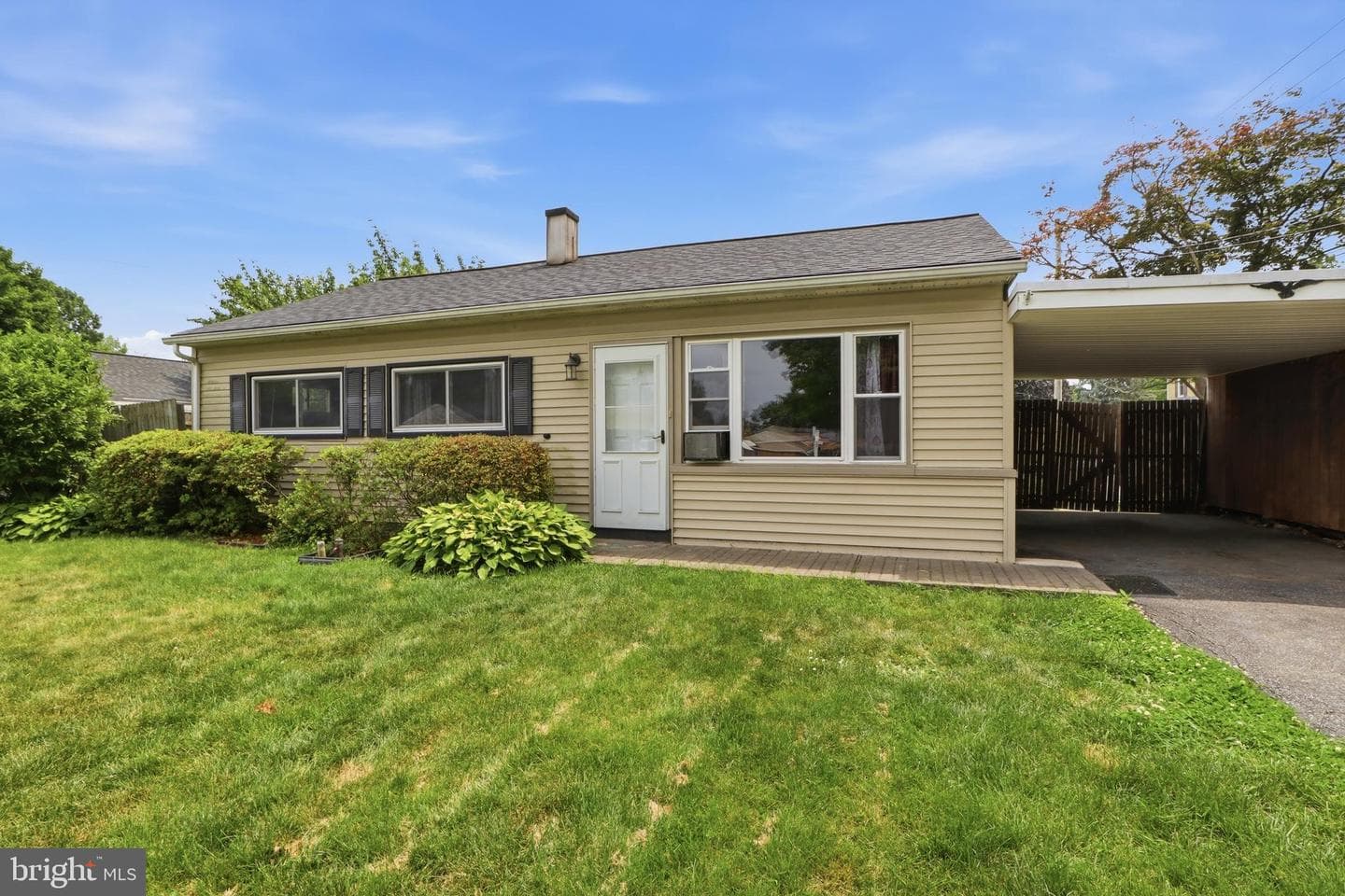 4 Conoy Road photo 22