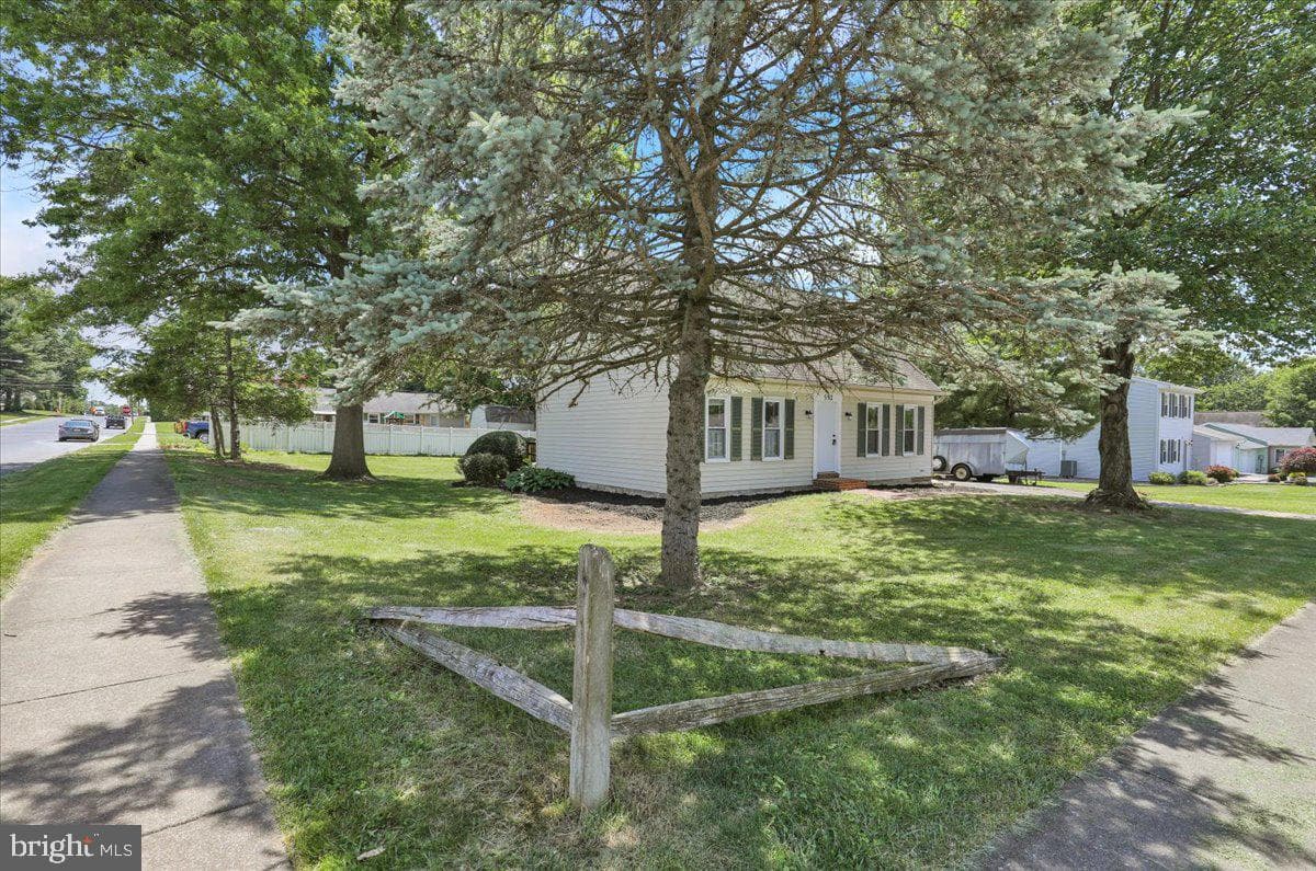 592 Mulberry photo 6