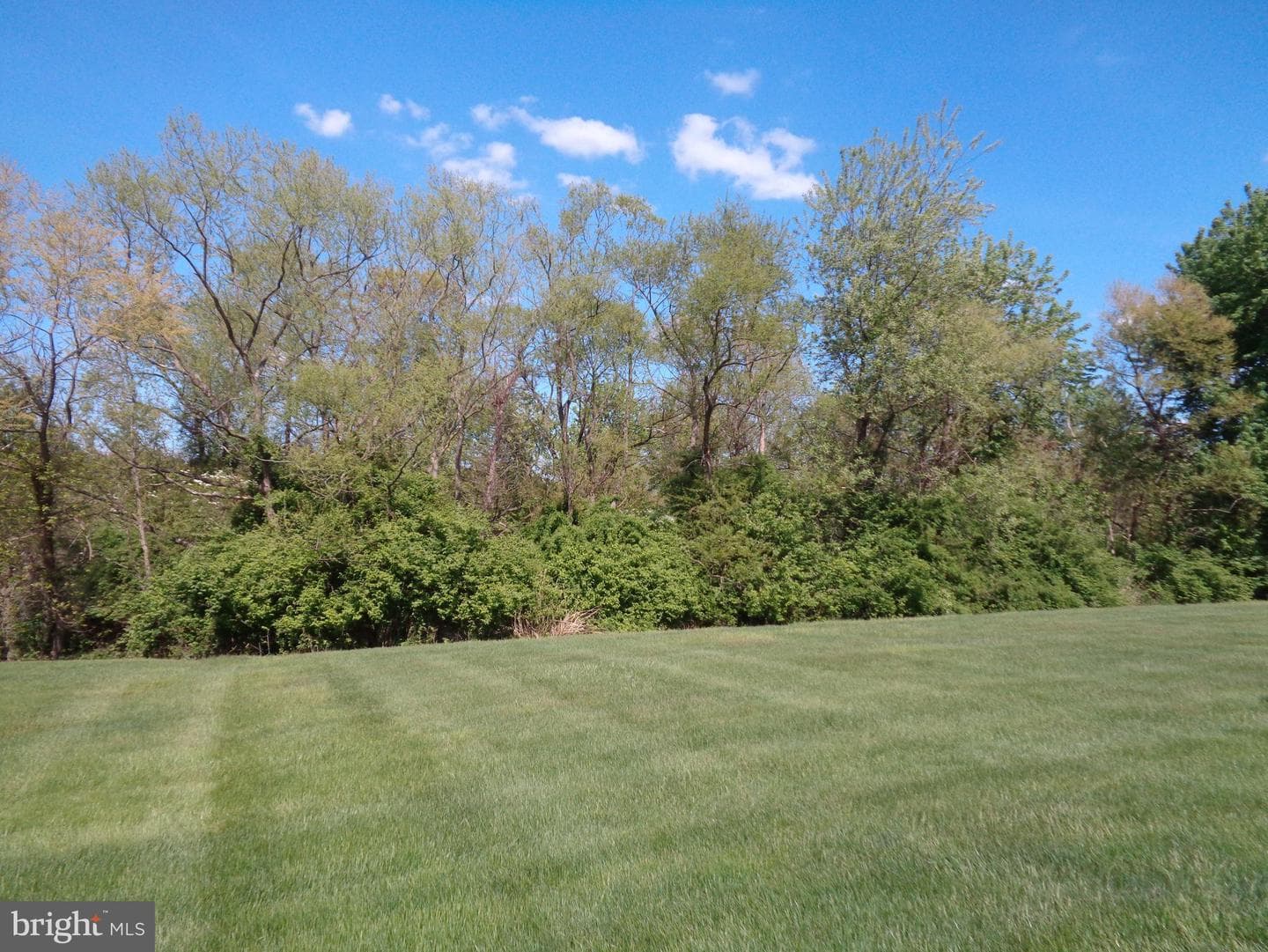 432 Stone Creek Road photo 5