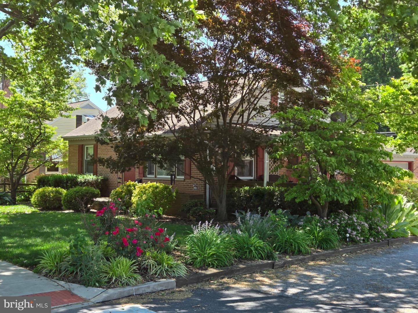 524 Locust Street photo 3