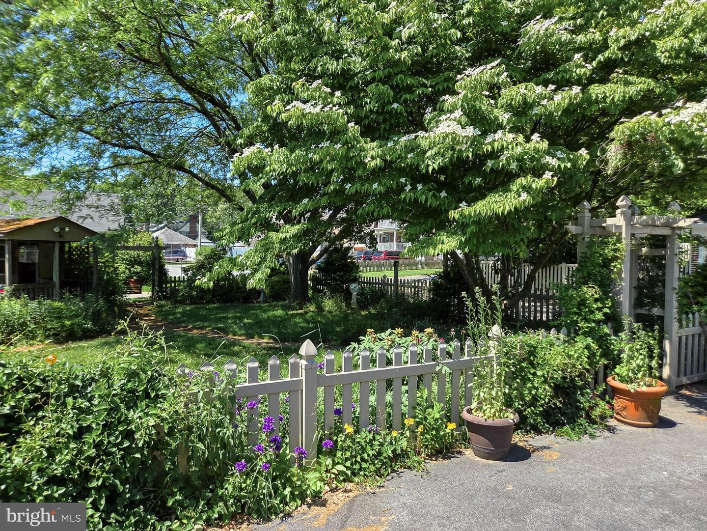 524 Locust Street photo 35