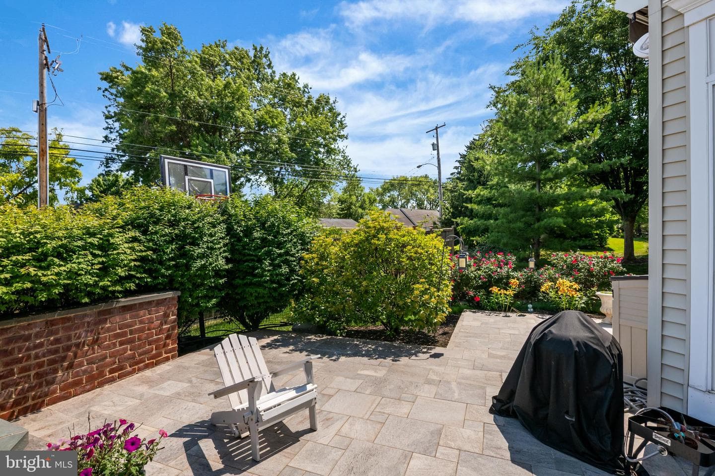 2536 Starbrush Drive photo 6