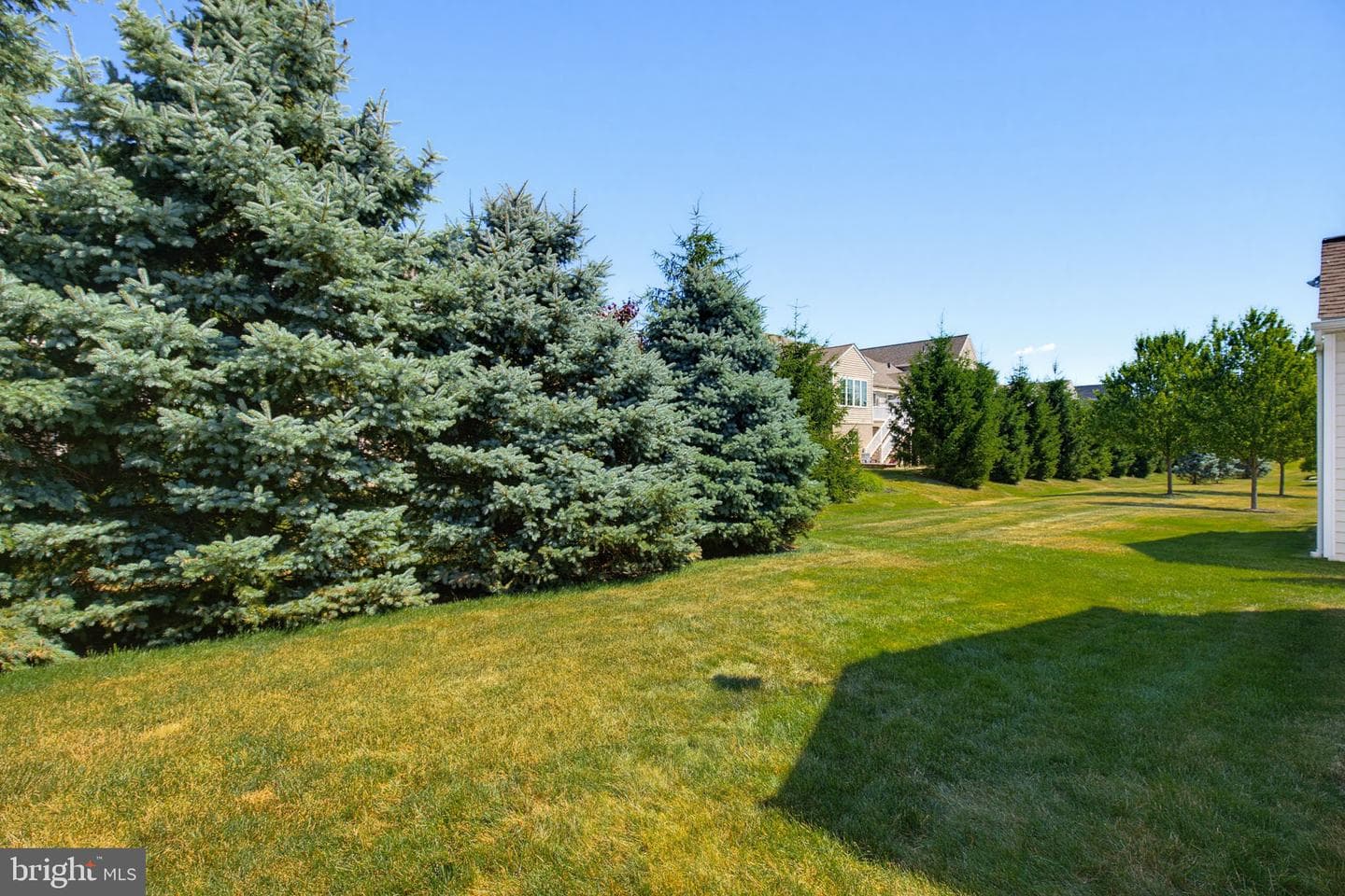 347 English Ivy Drive photo 37