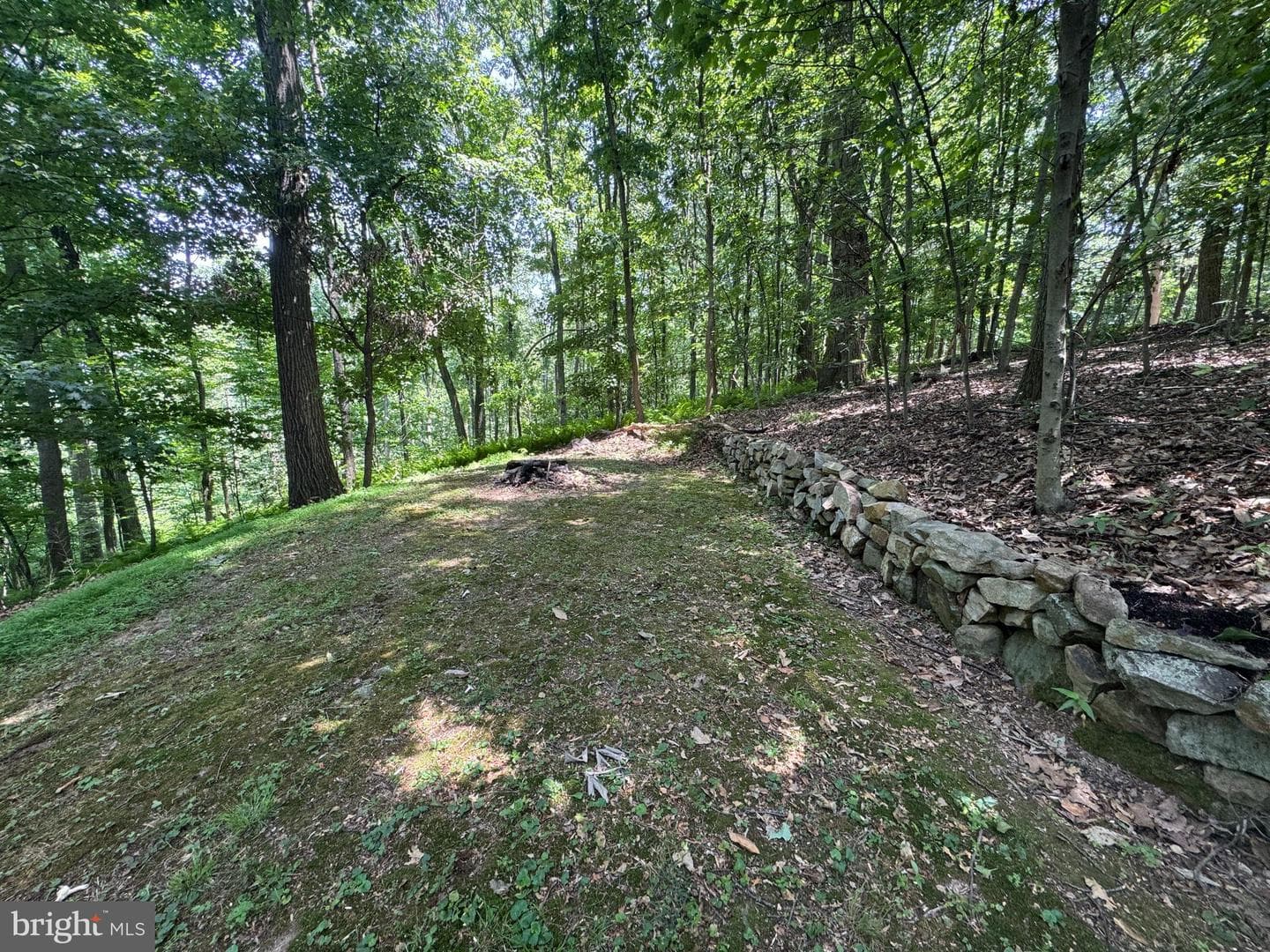 2917 Oak Lane photo 24