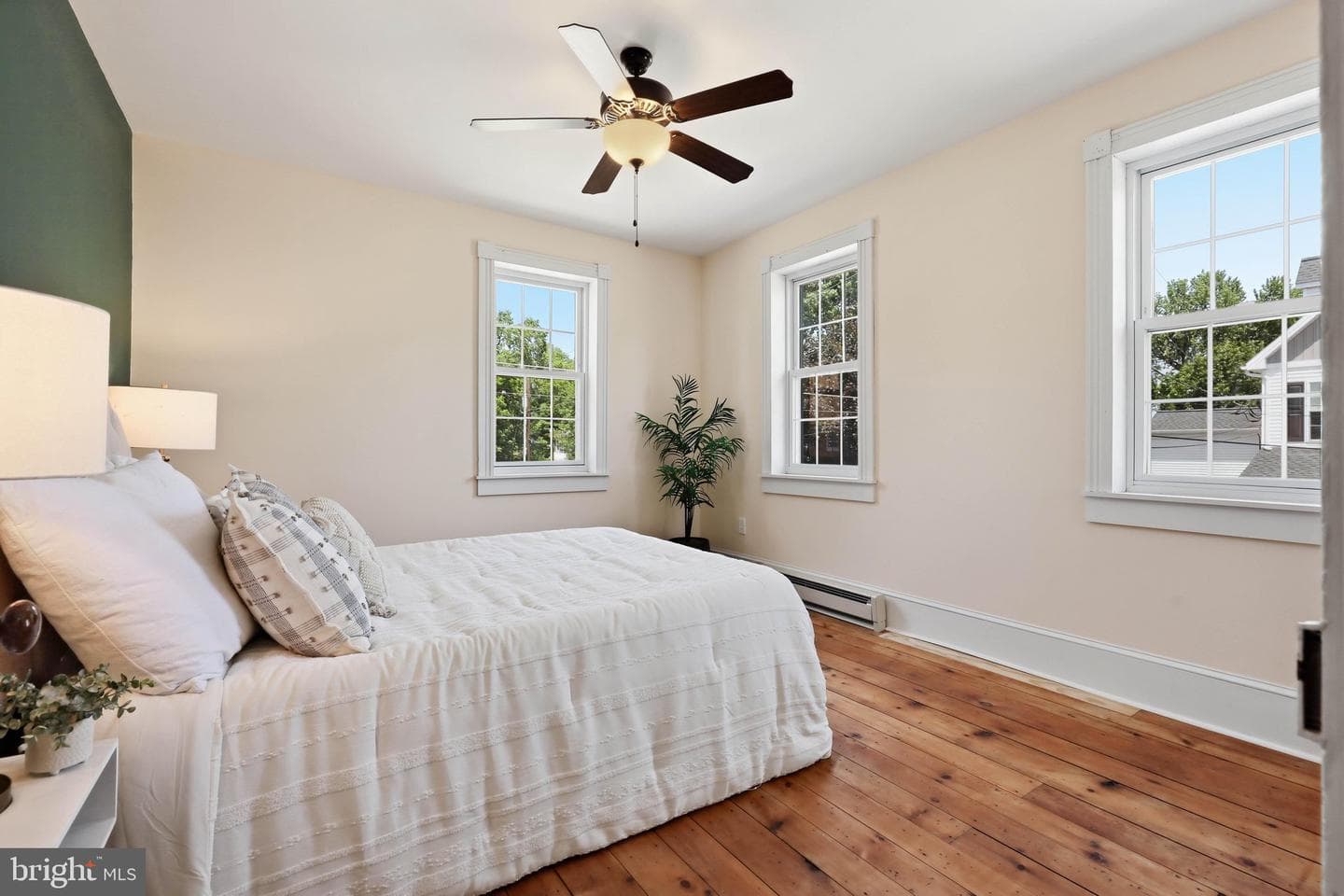 222 Mount Joy Street photo 32