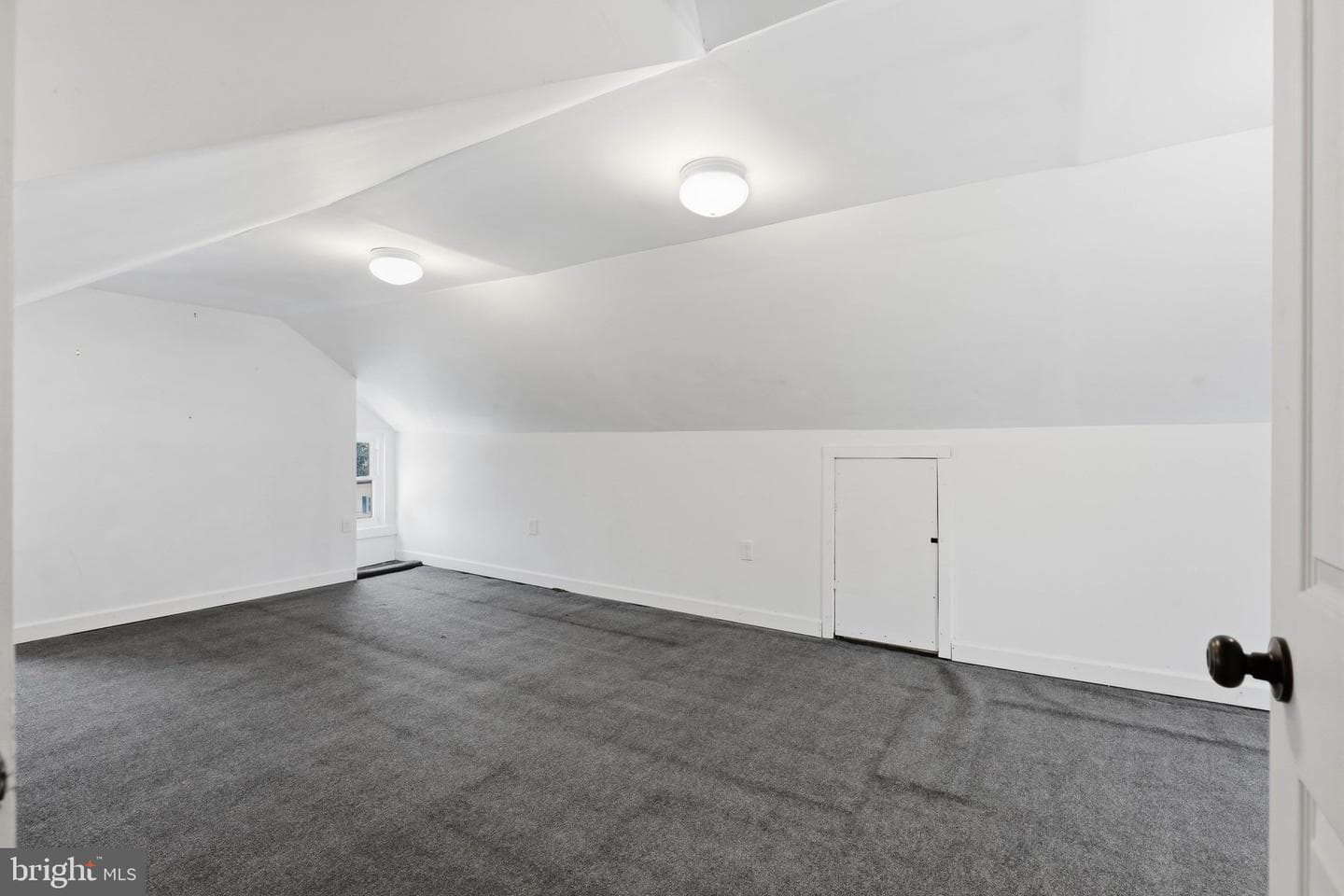 222 Mount Joy Street photo 52