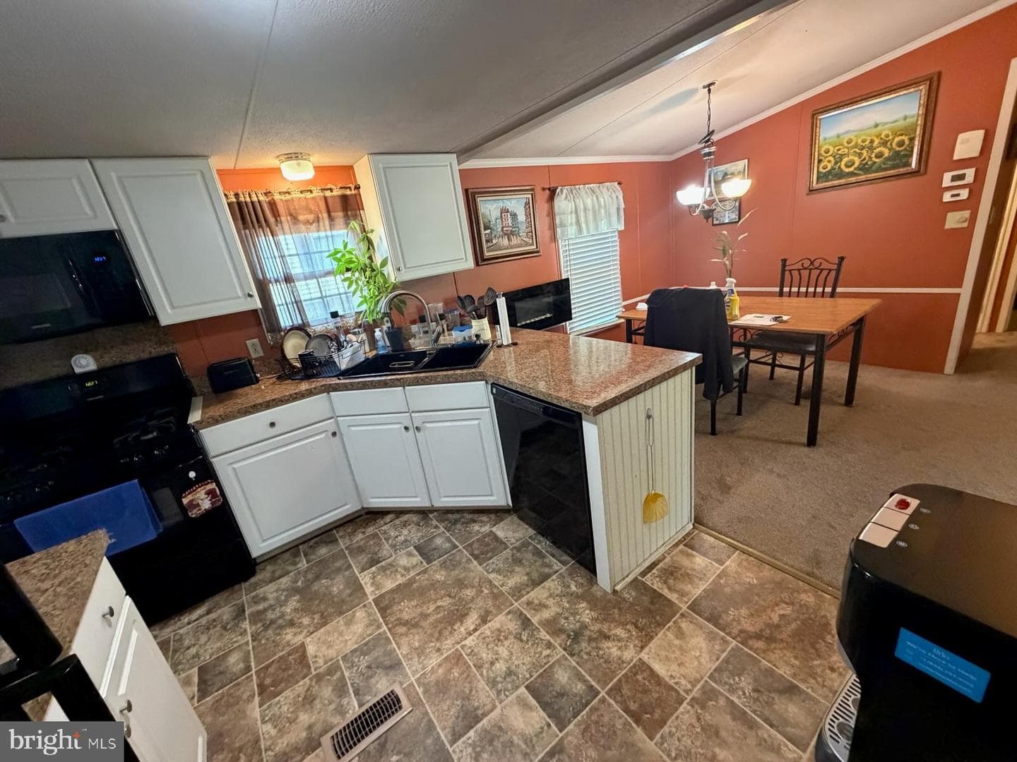 105 Dovefield Dr photo 3