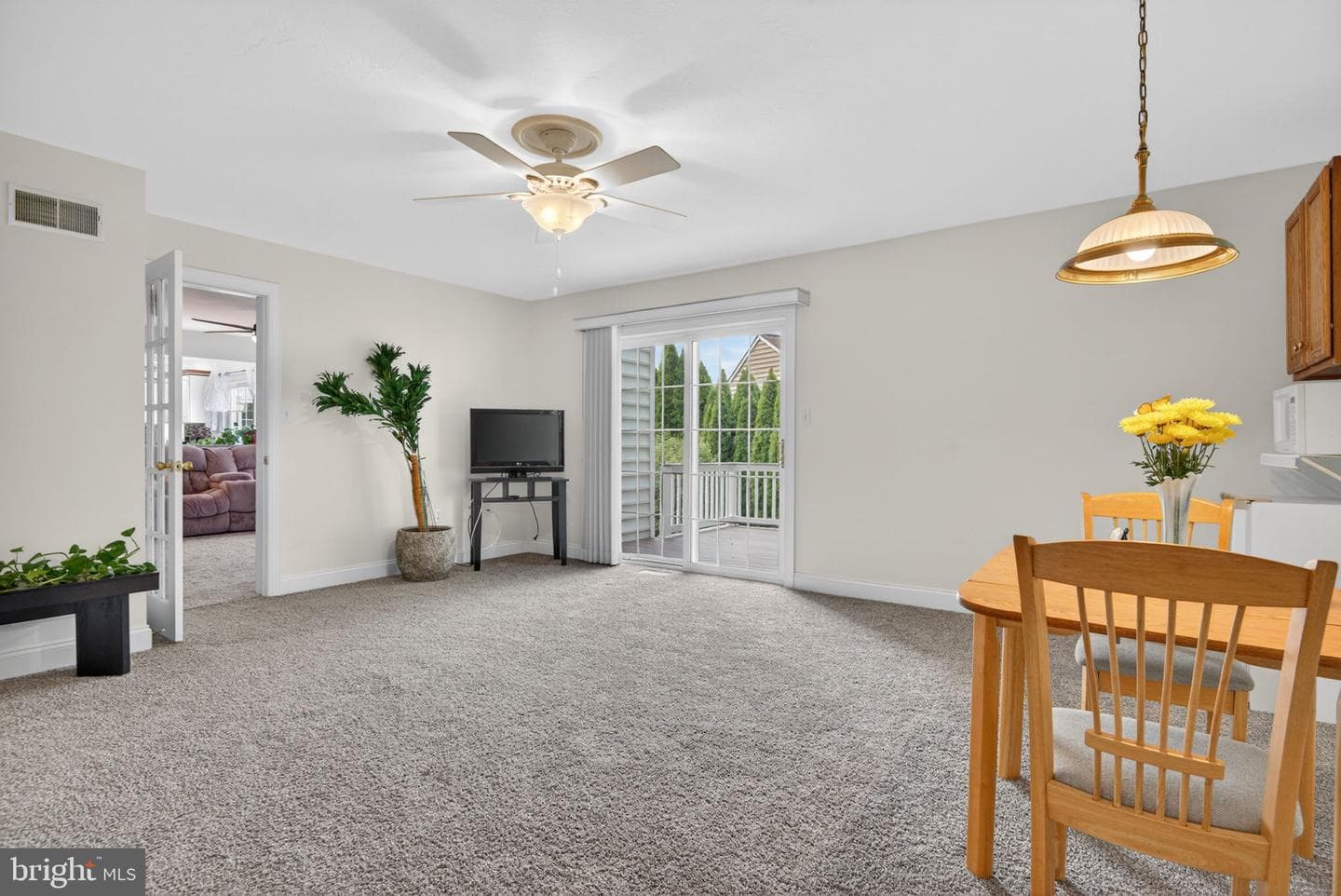 501 Bald Eagle Court photo 27