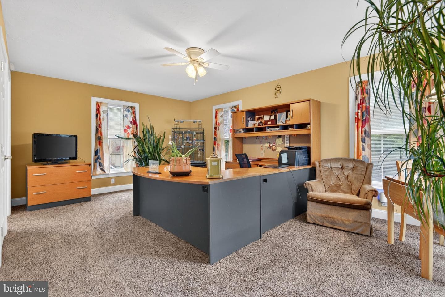 501 Bald Eagle Court photo 36