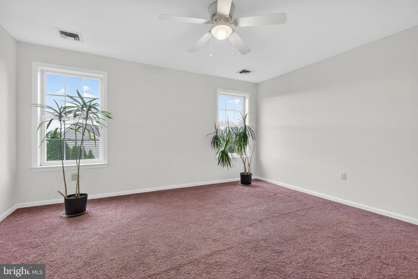 501 Bald Eagle Court photo 50