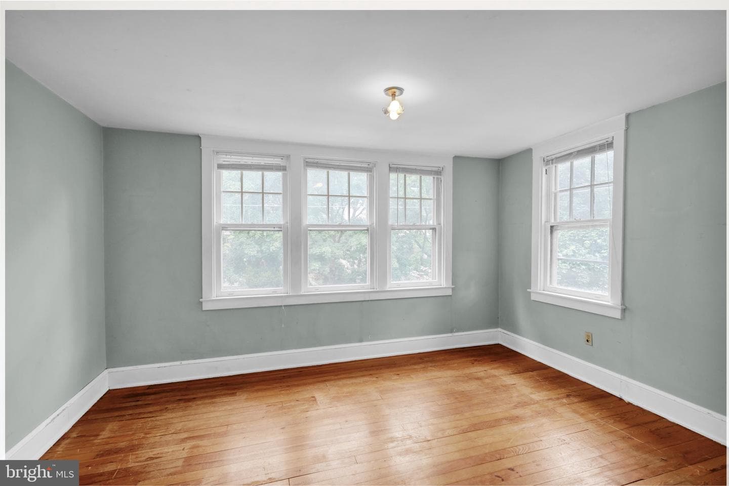 1194 Elm Avenue photo 22