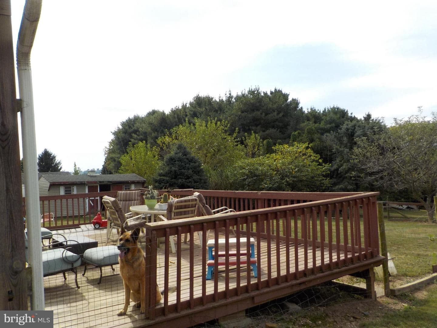 1443 Shumaker Road photo 8