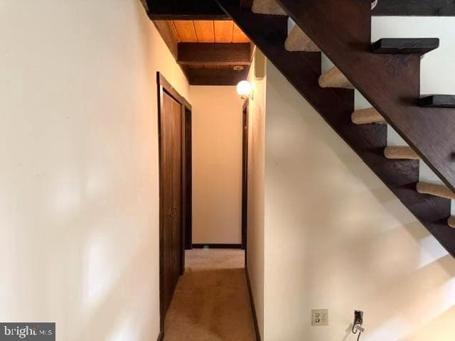 319 Carol Lynn Drive photo 14