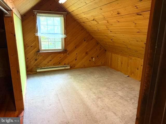 319 Carol Lynn Drive photo 29