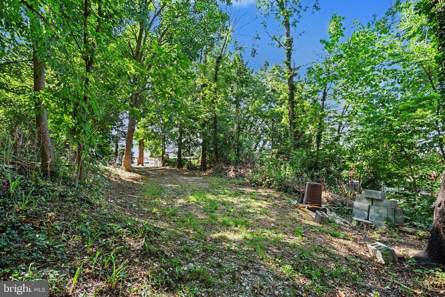 318 Linden Street photo 40