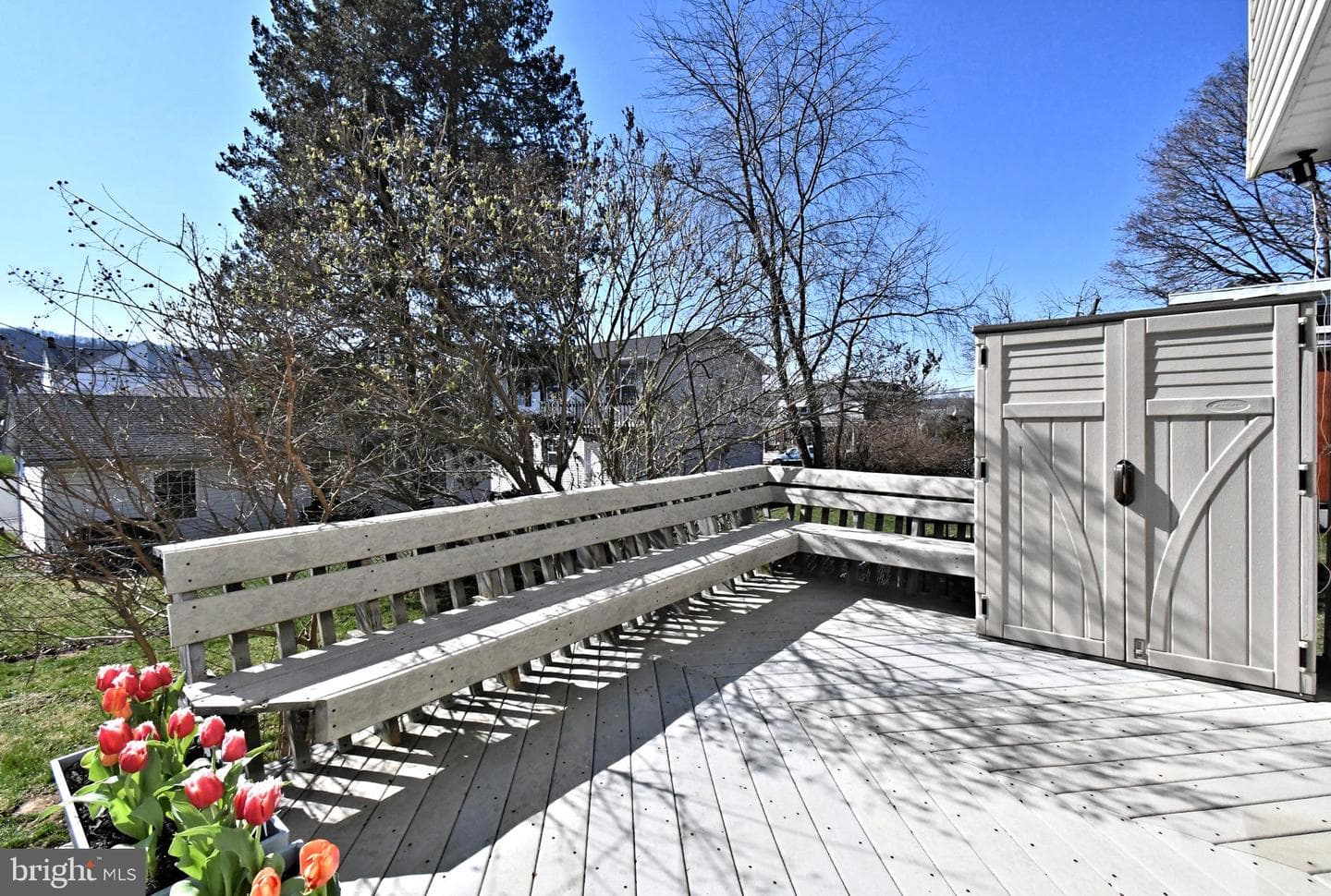 742 Walnut Street photo 20