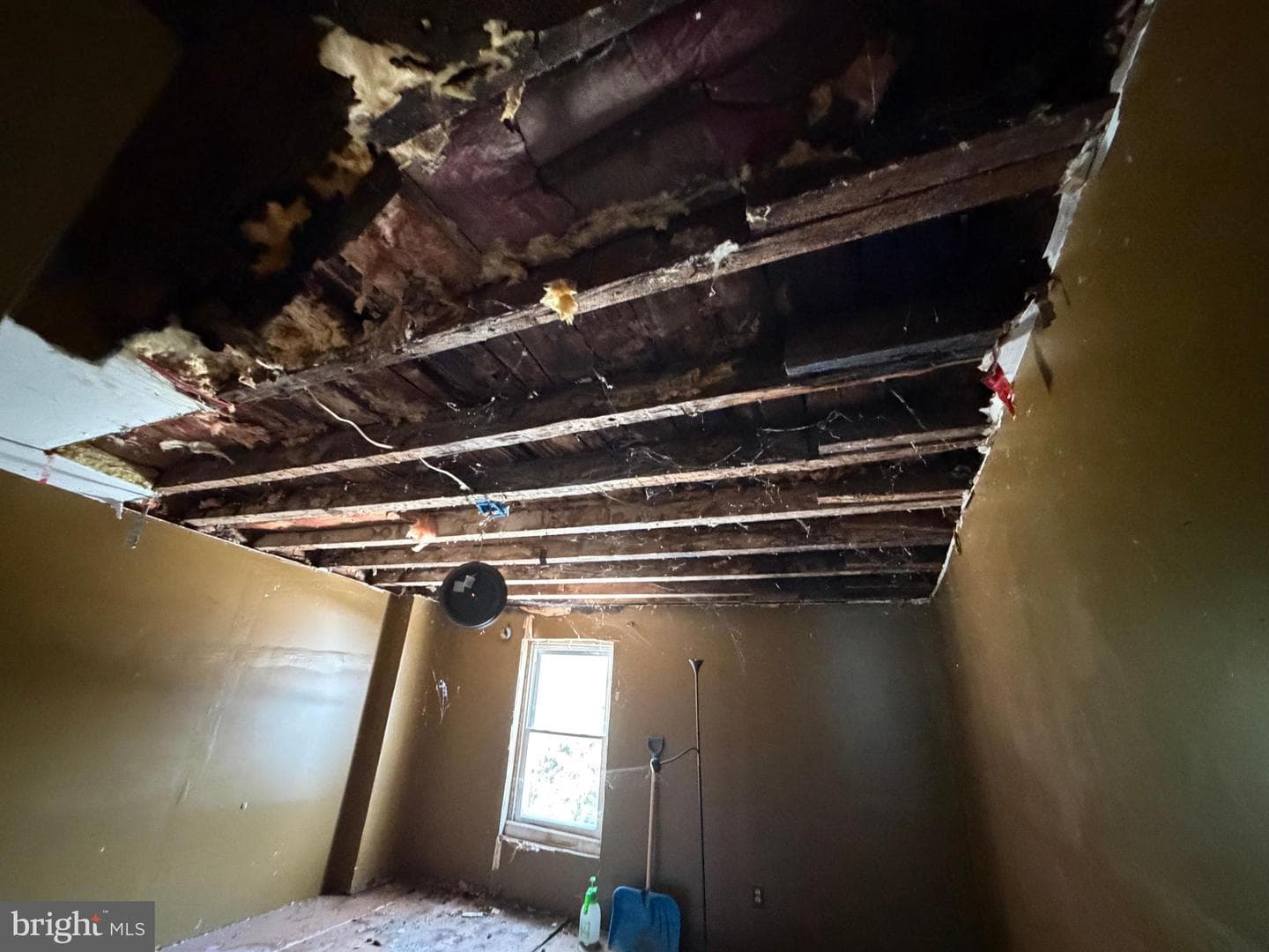 1155 N Lumber Street photo 24