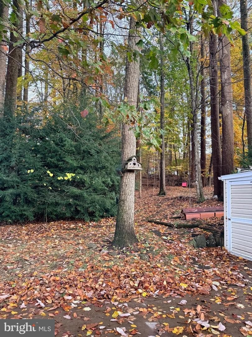 303 Maple Ave Tp-0211 photo 19