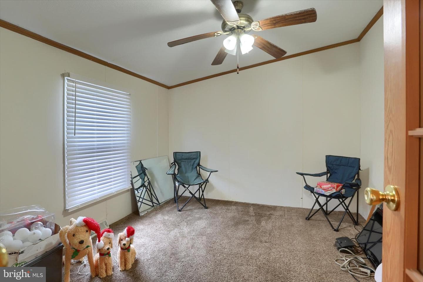 24 Reo Dr photo 28