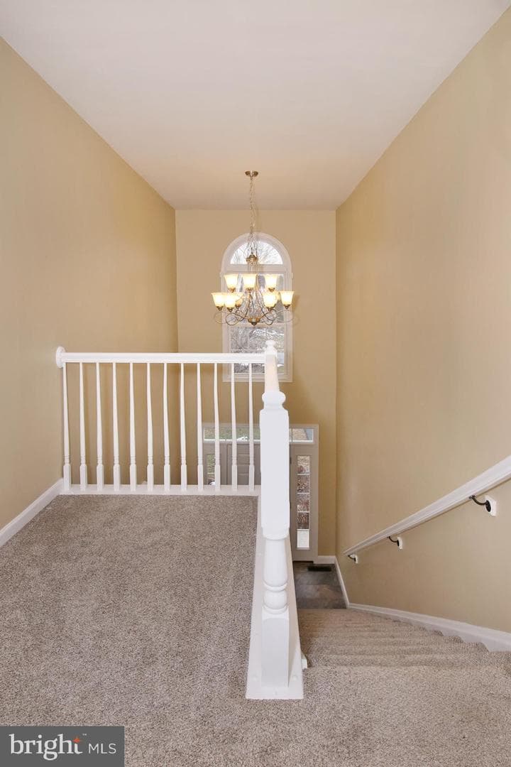 23 Oak Knoll Cir L-0037 Circle photo 20