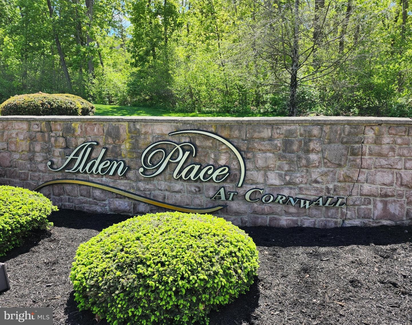 1029 Alden Way photo 48