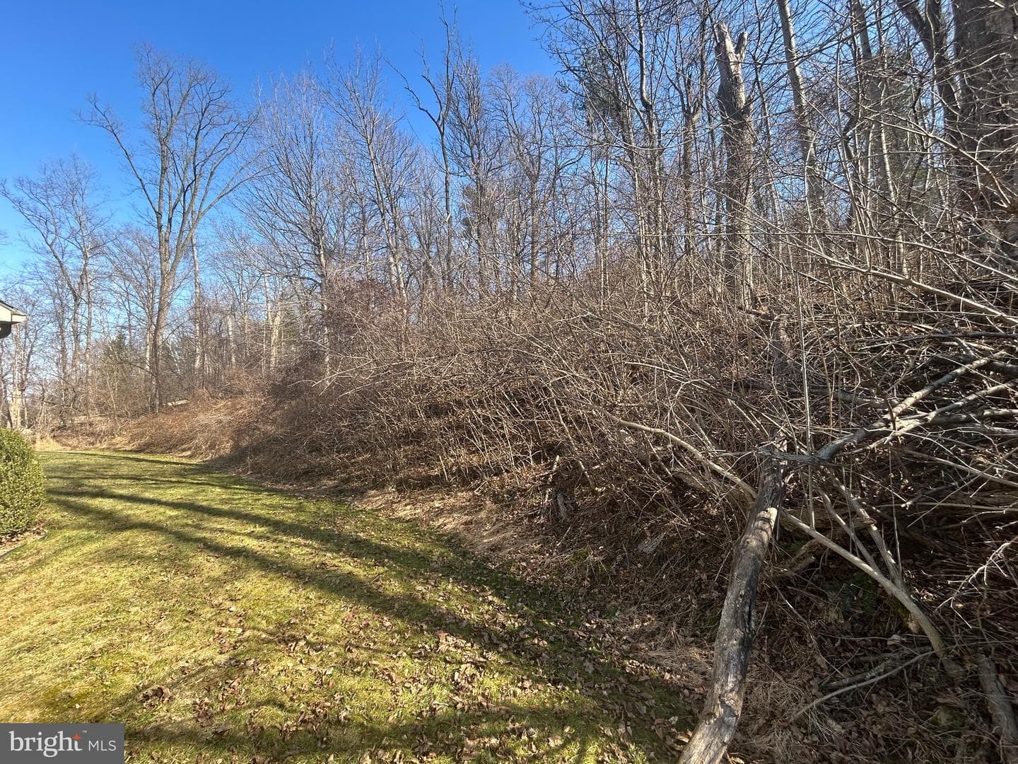280 Rexmont Road #49 photo 30
