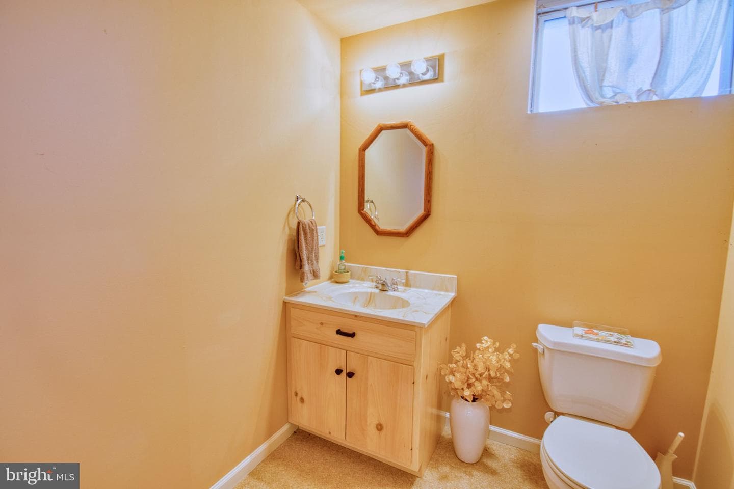 28 Norfolk Lane photo 63
