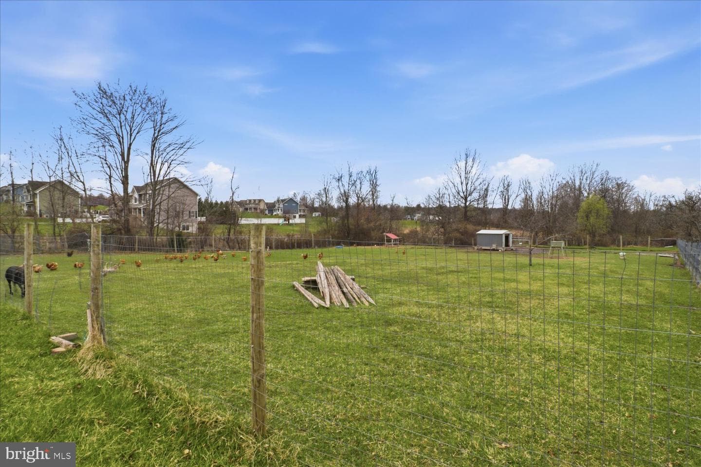 141 Bell Road photo 51