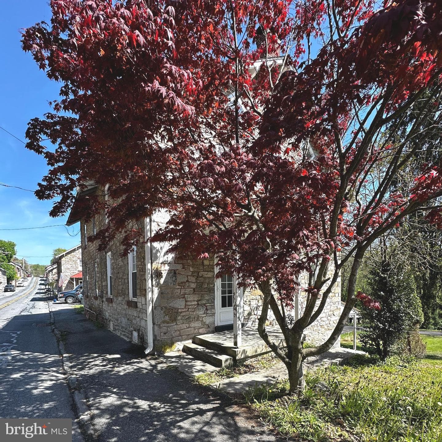 311 Boyd Street photo 5