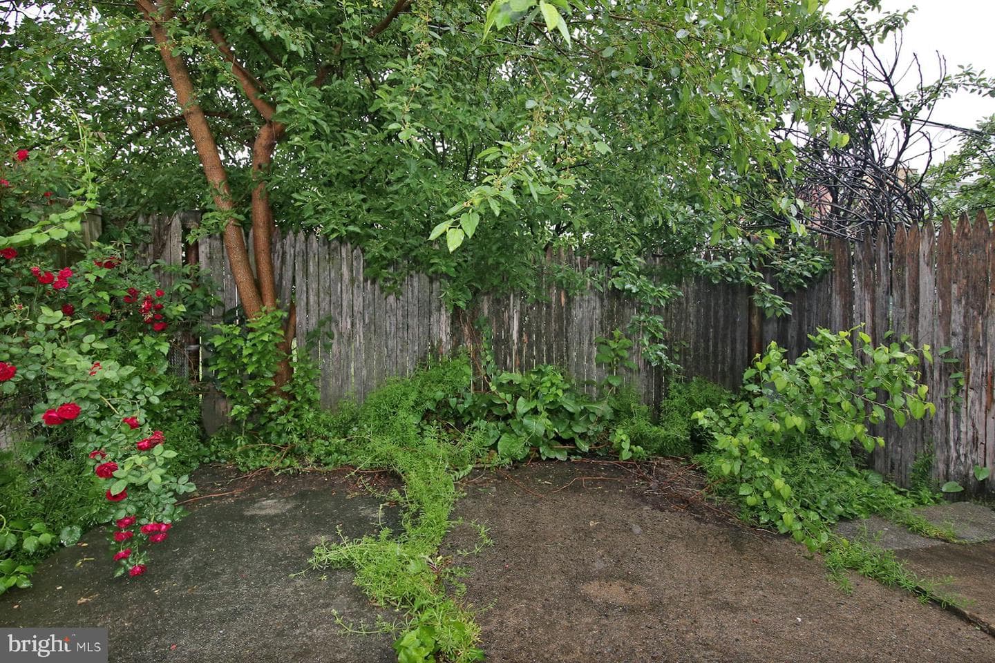 27 N 6th Street photo 16