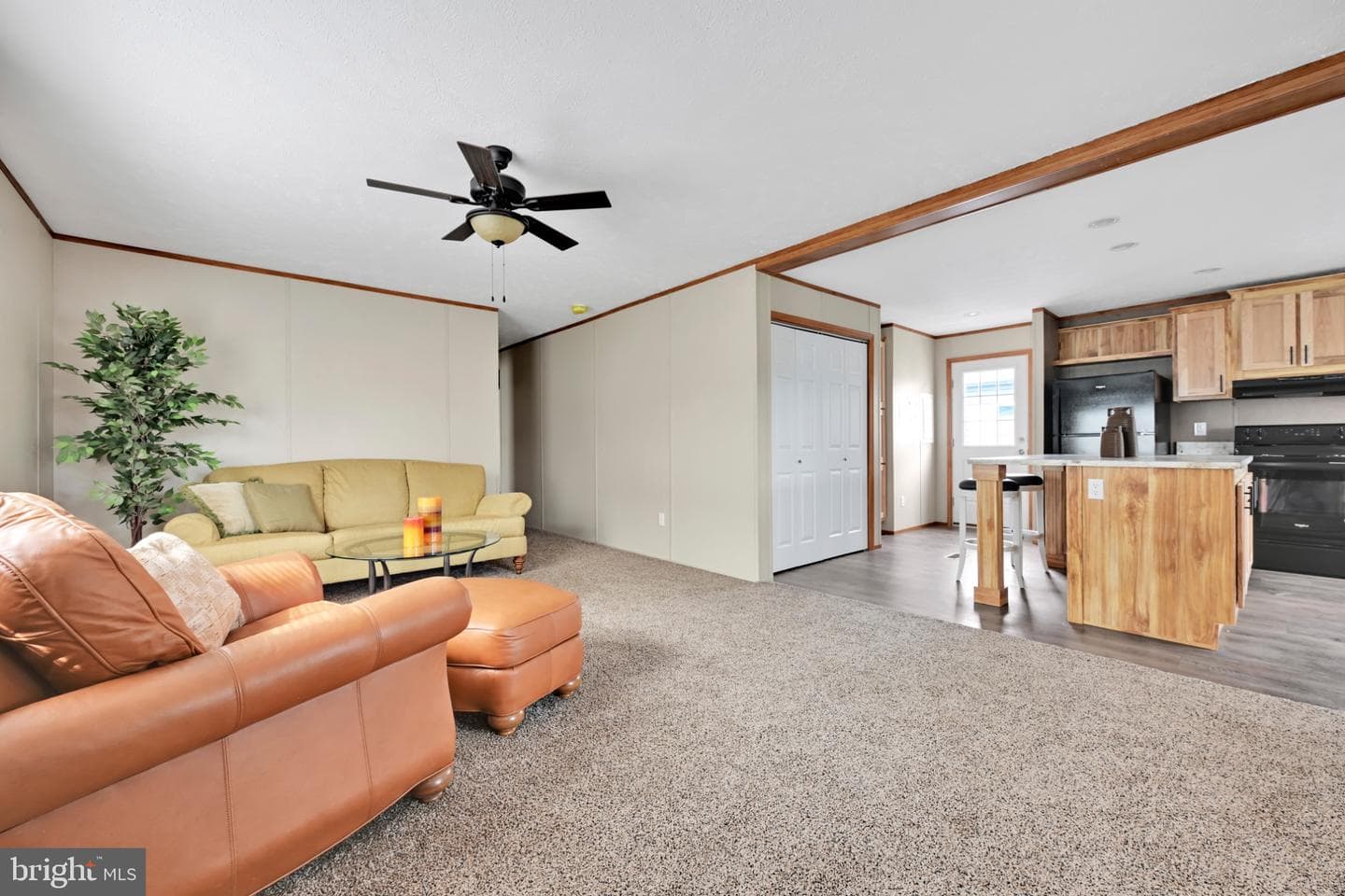 2106 Scull Street photo 5