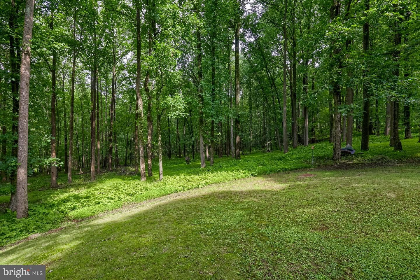 1231 Ash Lane photo 24