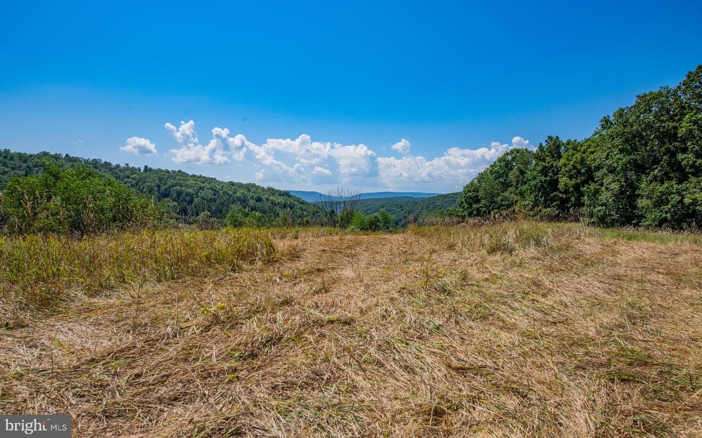 718 Turkey Path Road photo 62