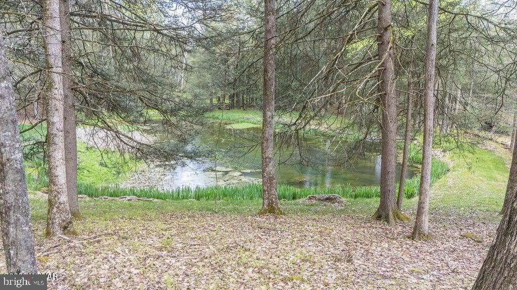 2270 Pine Tree Road photo 89