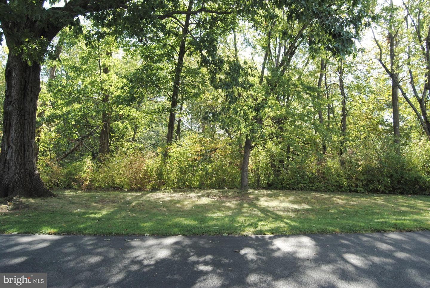 121 Woodstream #condo 121 photo 21
