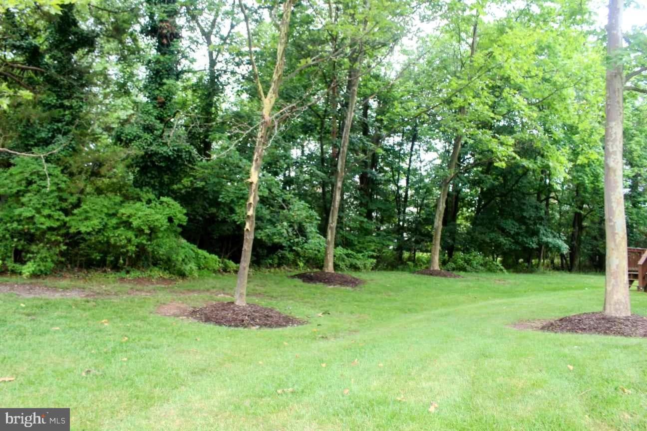 220 Hampton Green Drive photo 28