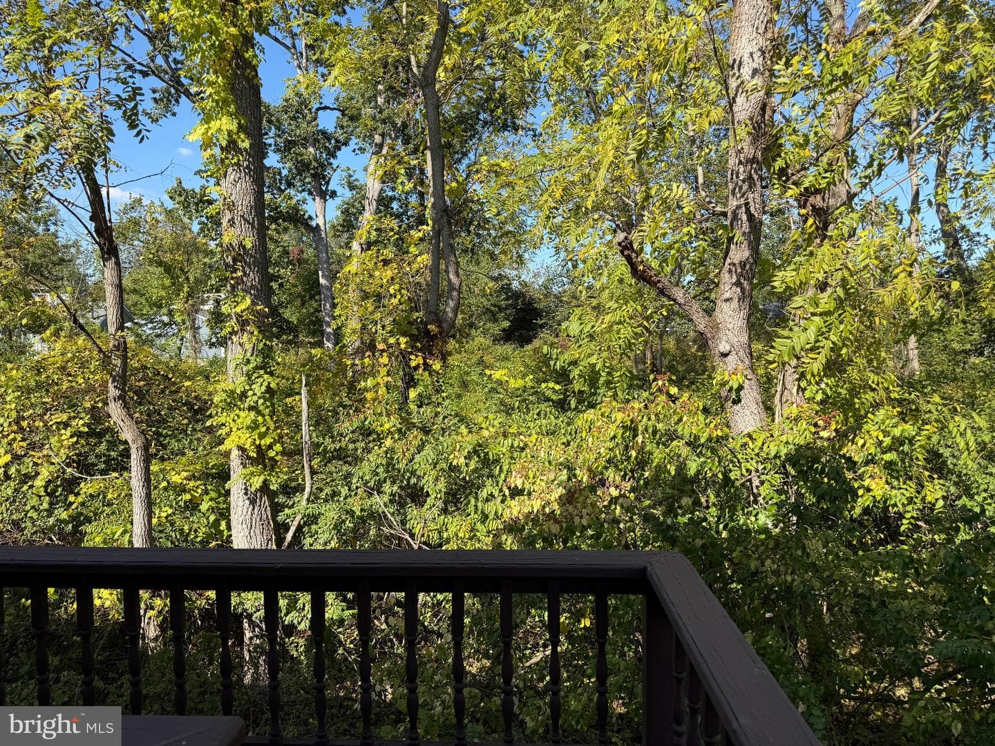1377 Tanglewood Drive photo 31