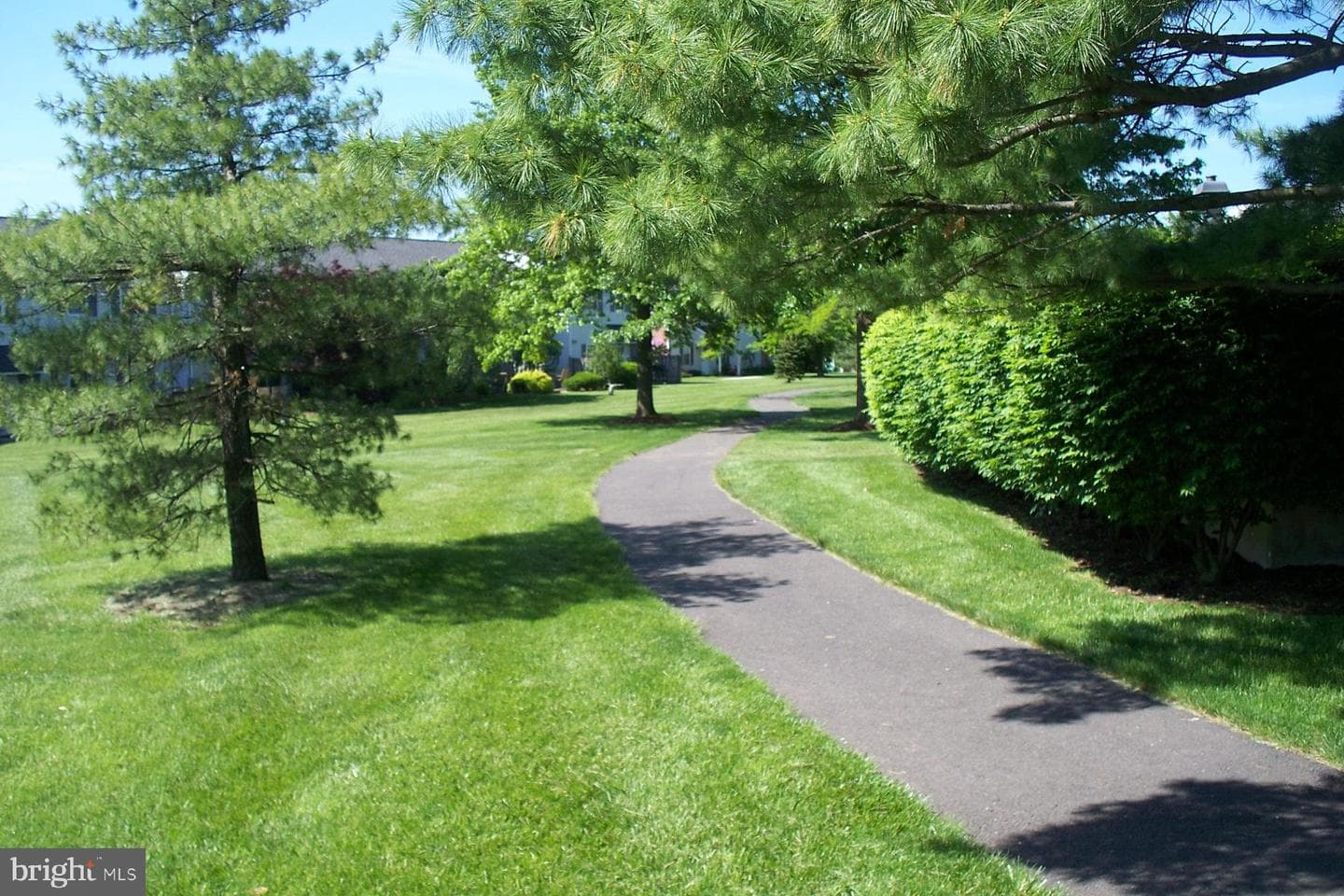 111 Clemens Court photo 27