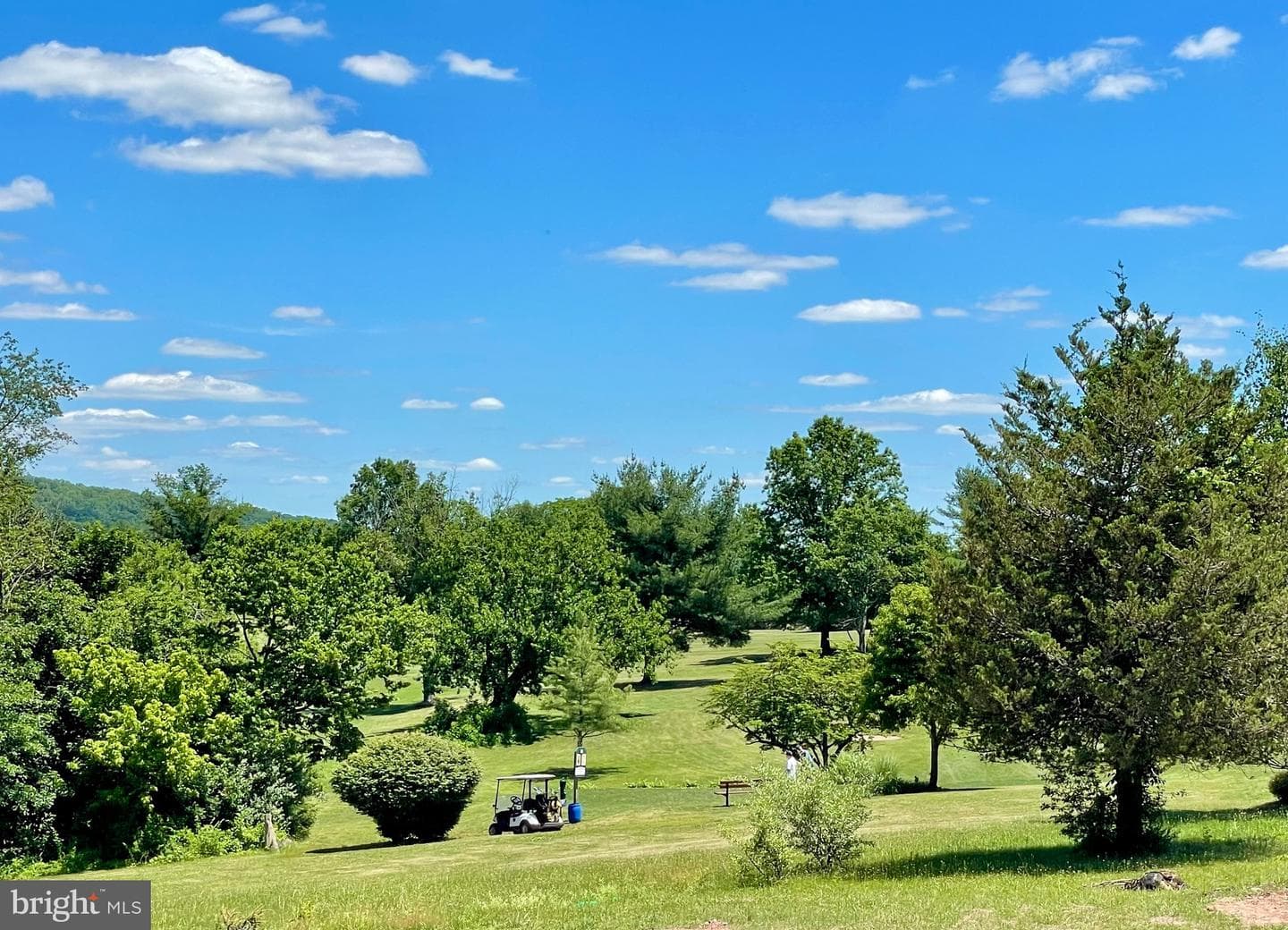 226 Cemetery Road photo 32