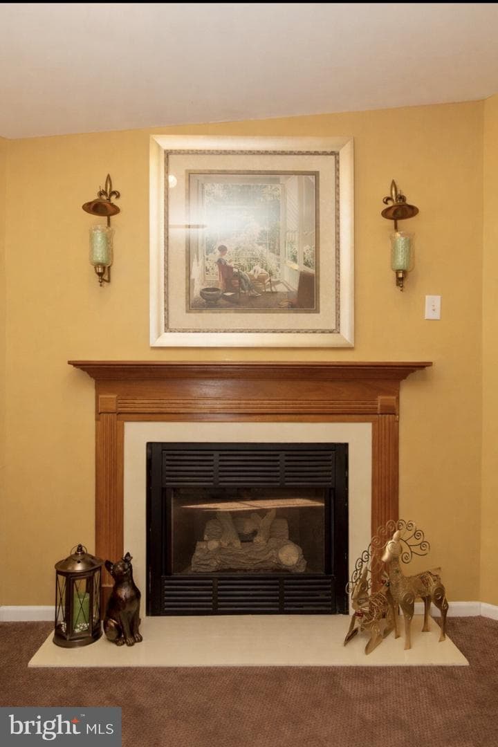 303 Carver Lane photo 6