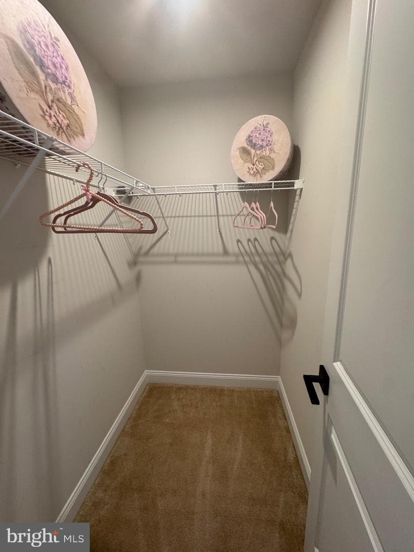507 Molly Pitcher Drive photo 35