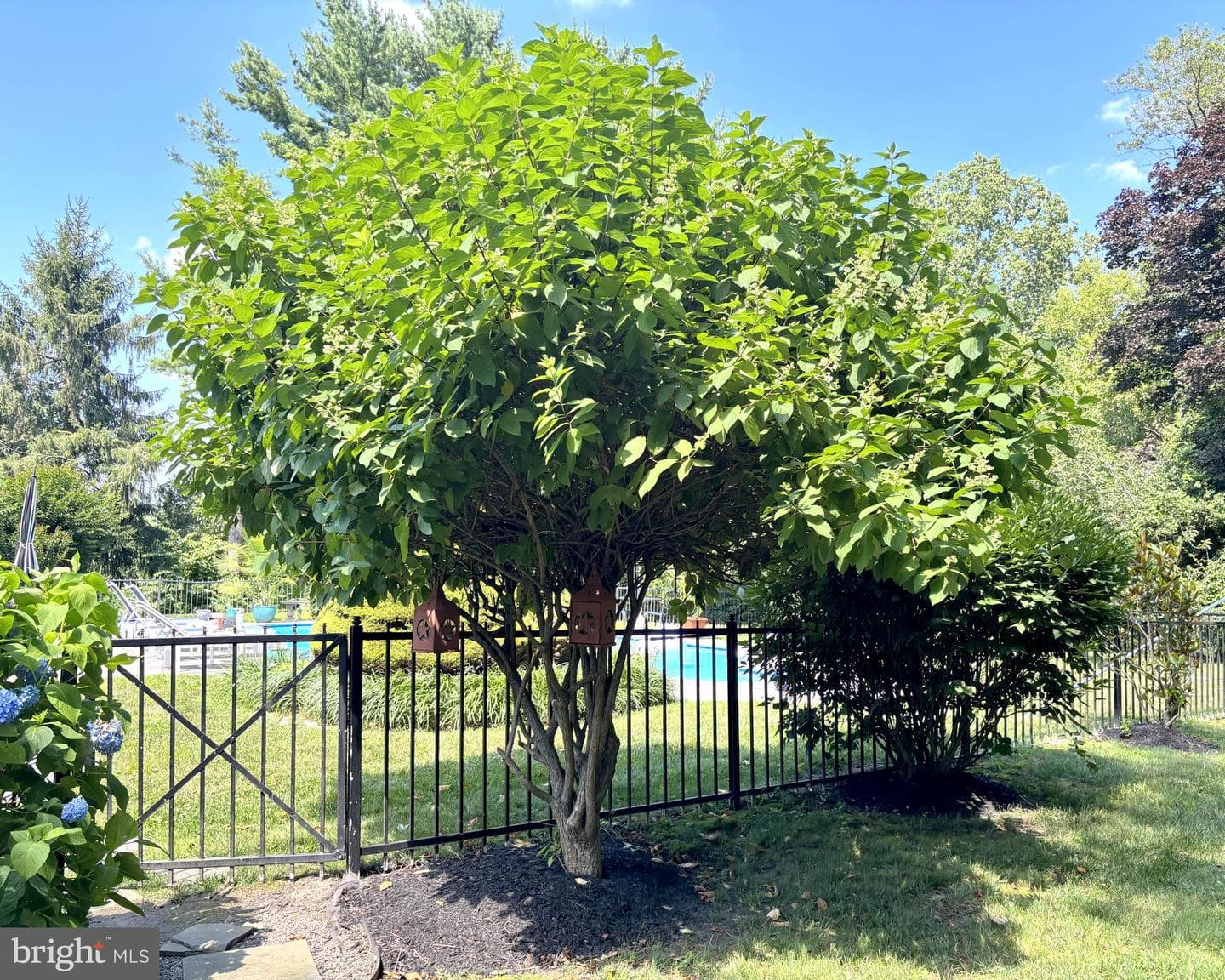 357 Sprague Road photo 39