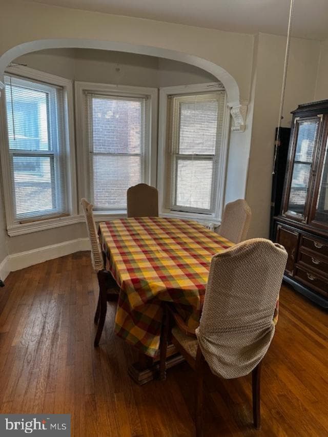 335 Chestnut Street photo 24