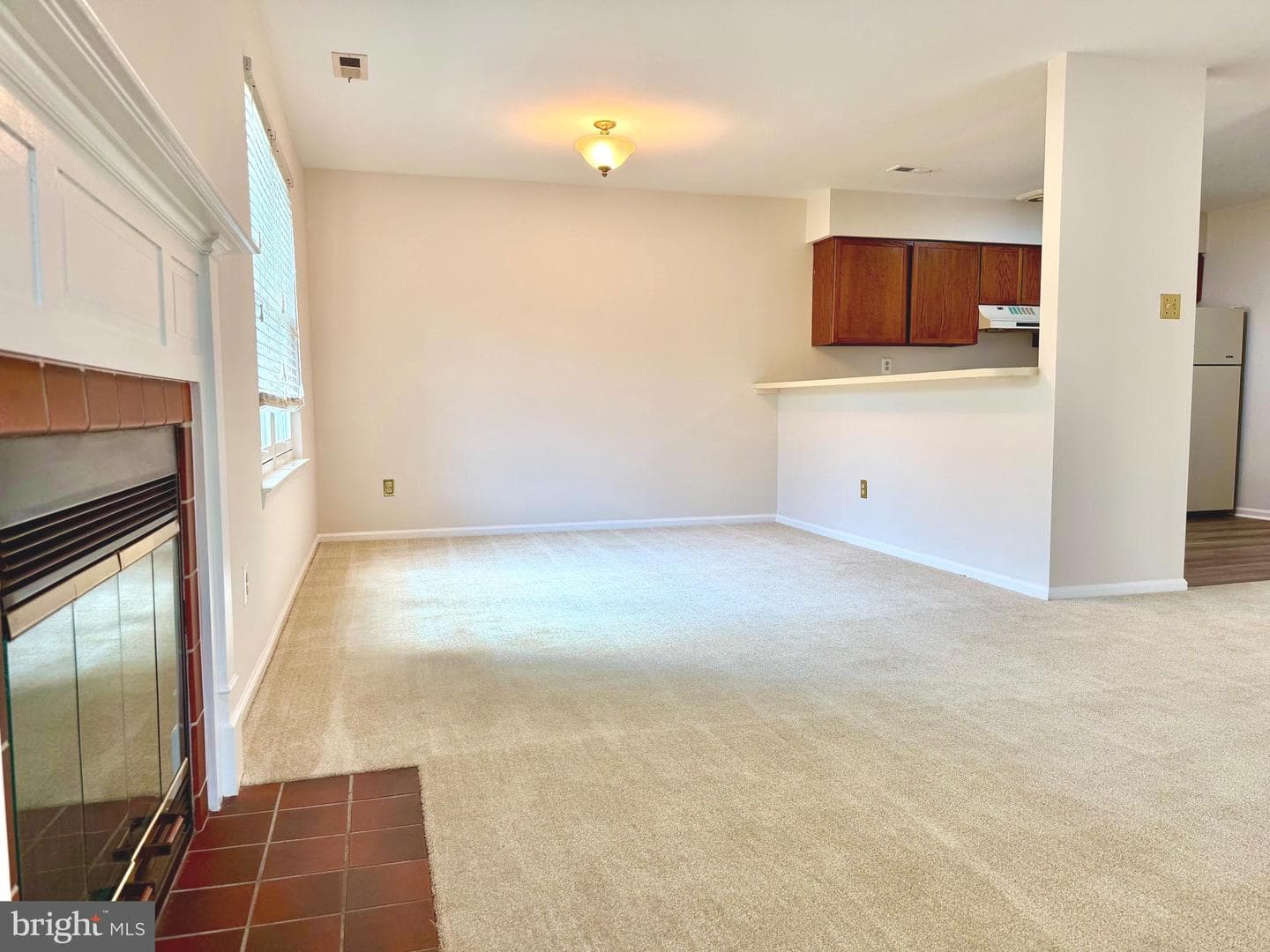 65 Woodbine Court photo 7
