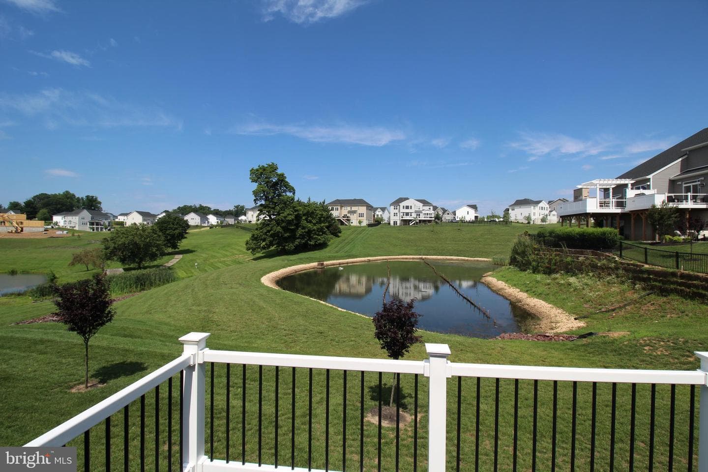 12 Umbrell photo 42